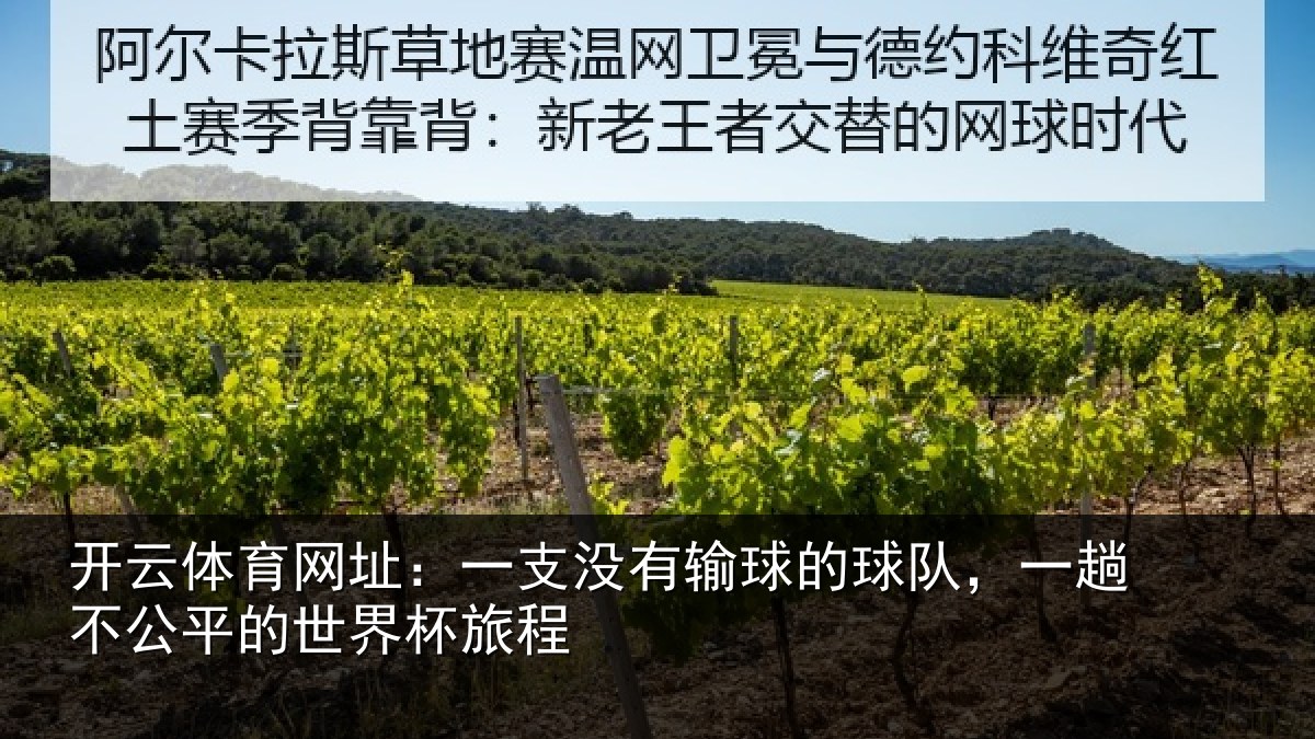 开云体育网址:一支没有输球的球队,一趟不公平的世界杯旅程